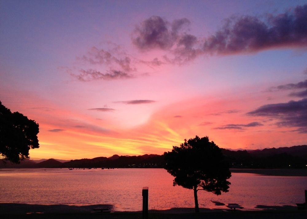 Paku Lodge Resort Tairua Eksteriør billede
